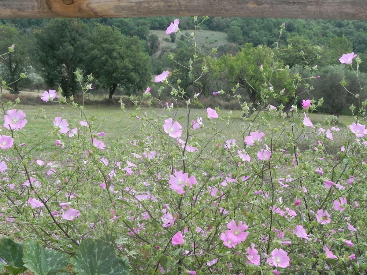 Agriturismo B&B Il Rifugio Di Nino Contursi Luaran gambar